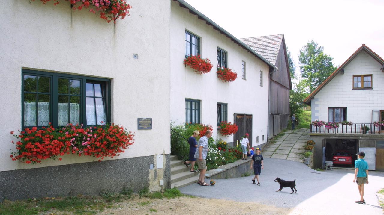 Ferienhof Stanzl Rappottenstein Εξωτερικό φωτογραφία